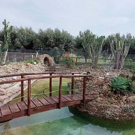 Villa Michelangelo Castellammare del Golfo Kültér fotó